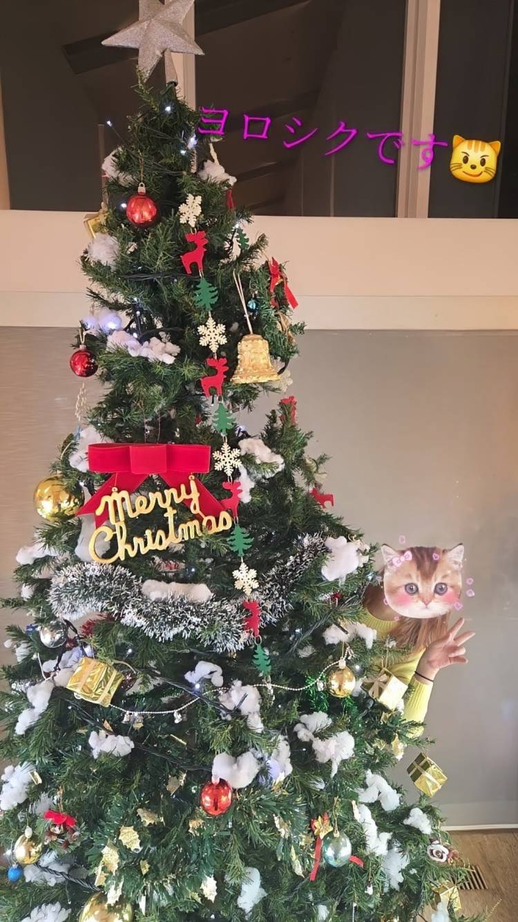 おはようございます