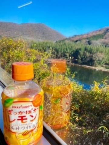 景色が綺麗だよ