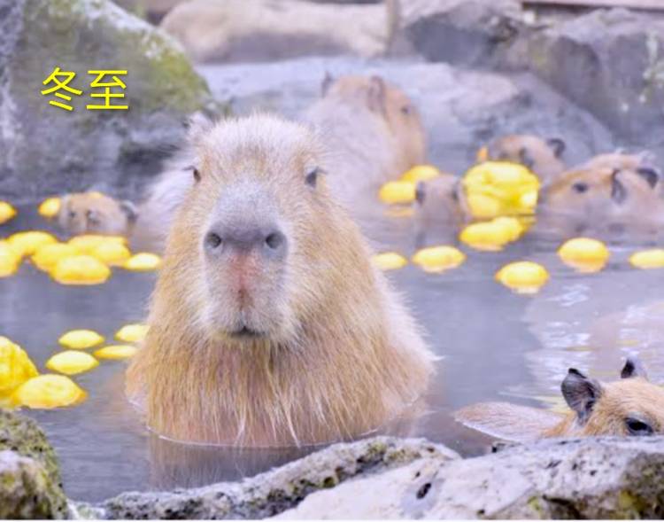 ★明日　出勤予定です