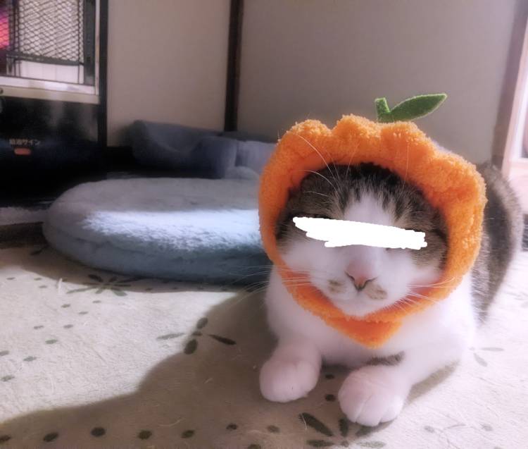 キャッスル　Sさま