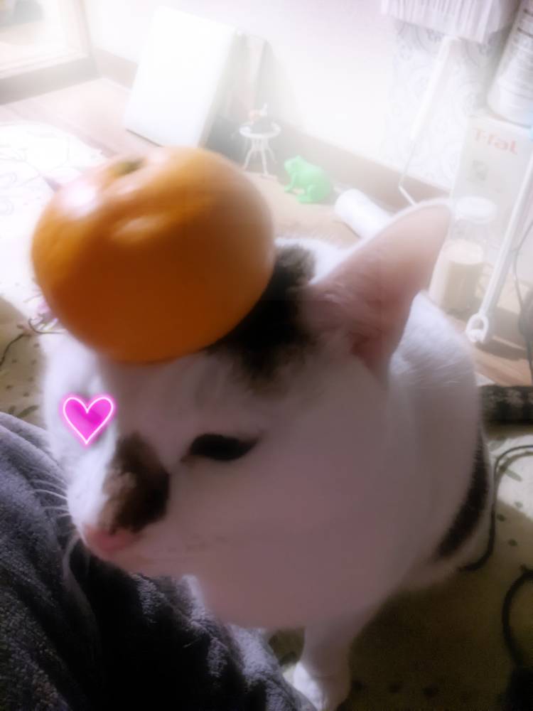 今日は　山陰へ