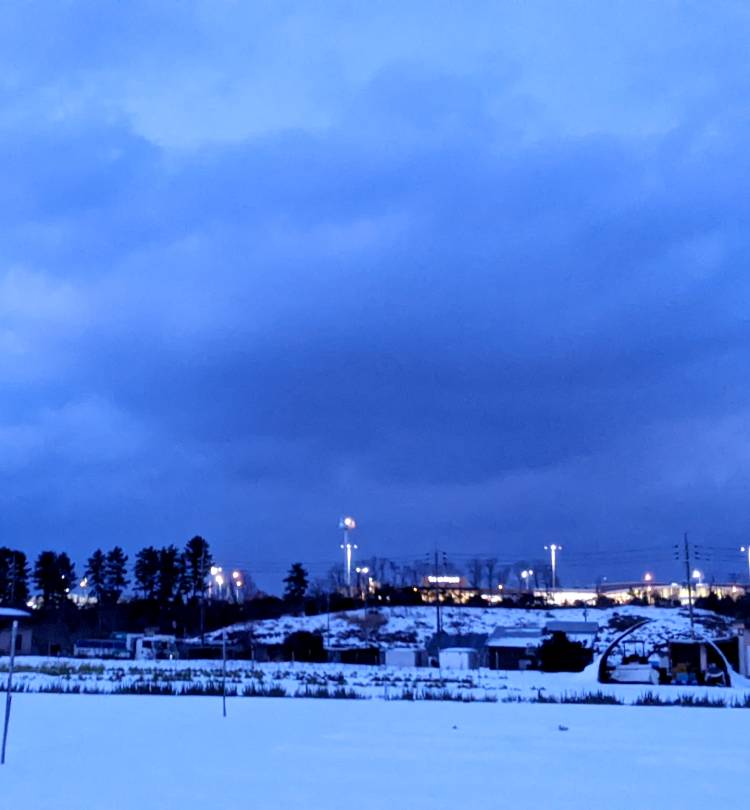 キャッスル　Sさま