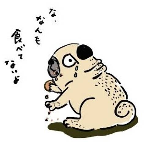 ご予約いただいたＮさま