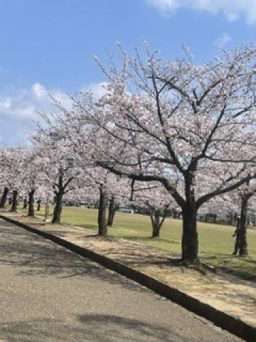 こんにちは