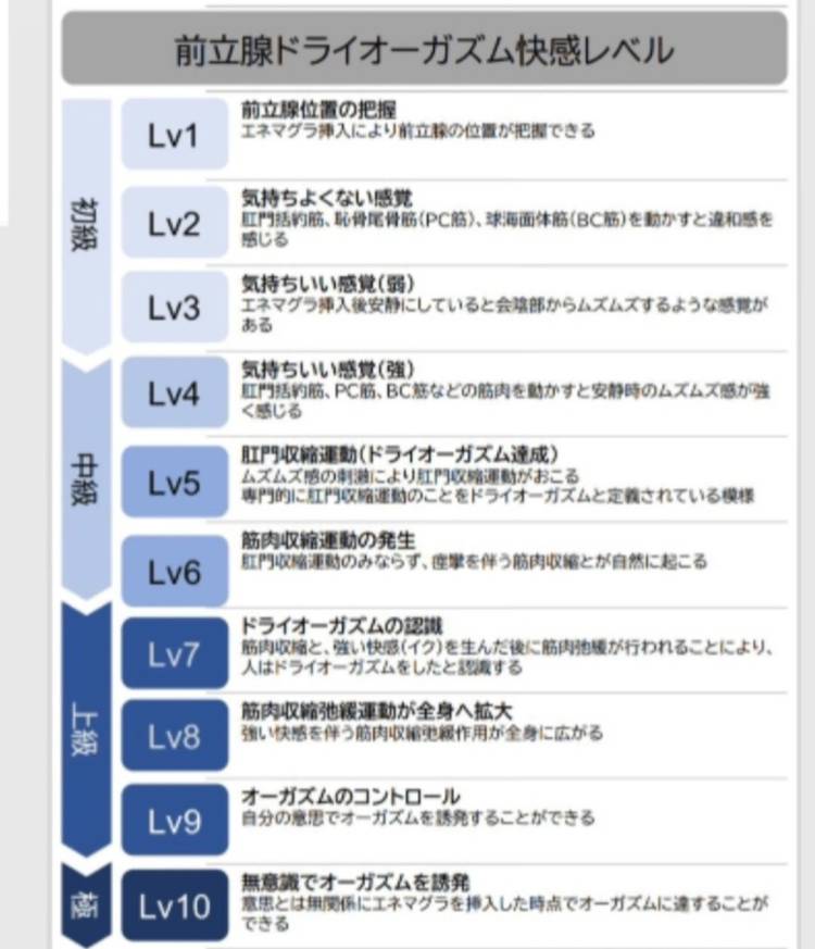 前立腺ドライオーガズムについて