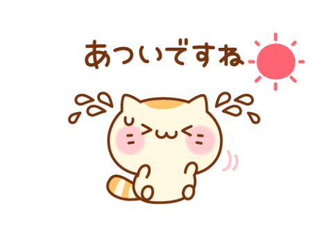おはようございます　(*^^*)♪