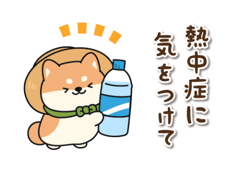 おはようございます　(*^^*)♪