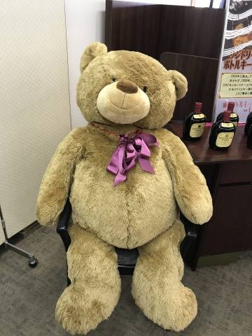 おはようございます♪