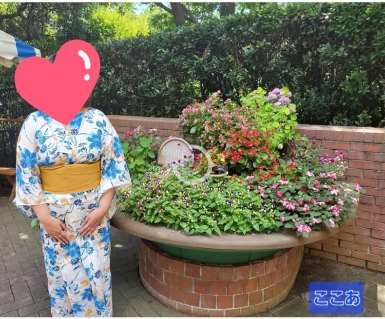 残暑見舞い(・_・?)