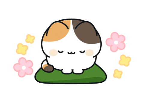 最終日です