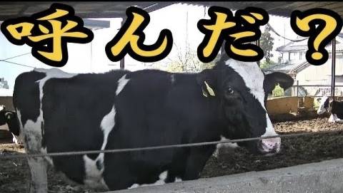 10/12 お待ち合わせのＮさま