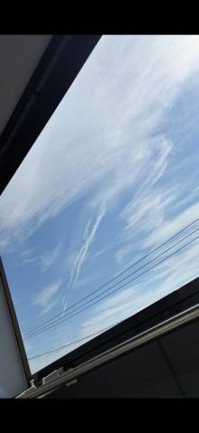 ★本日最終日…★