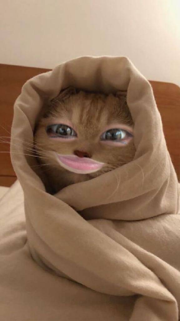 予定より早い生理?