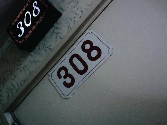 セーヌ308