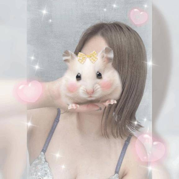 おはようございます✨️