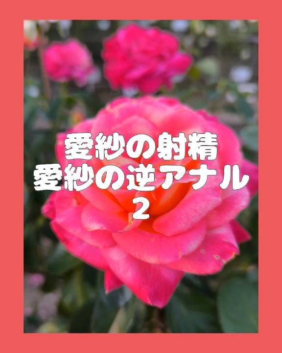 Pホテルのご新規様🏩Bホテルの本指名様🍌