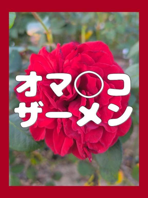 Bホテルのご新規様🍌