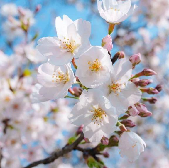 明日と明後日います(*^^)