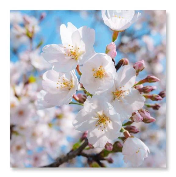 おはようございます(^_^)/