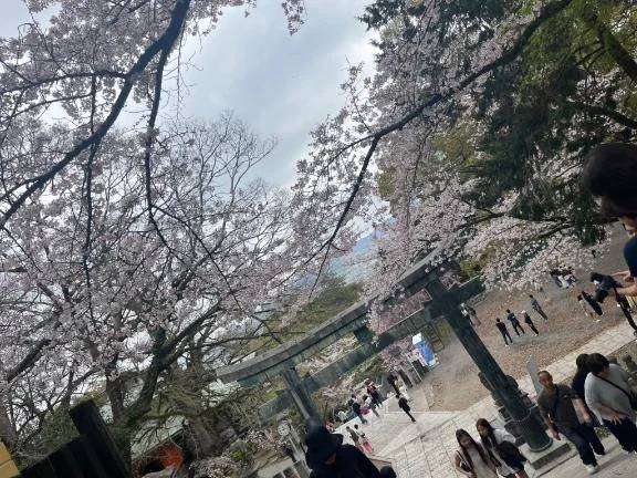 雨…雨…雨‼︎嫌だ…