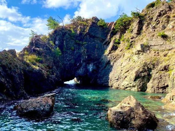 今日はおやすみするよ♩