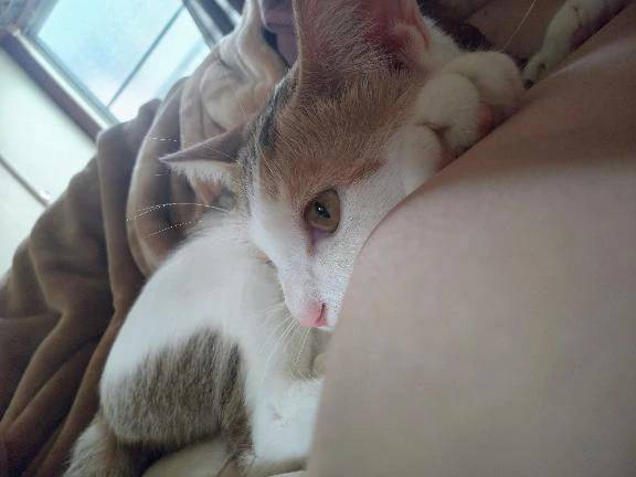 用事終わったけどやること多すぎて