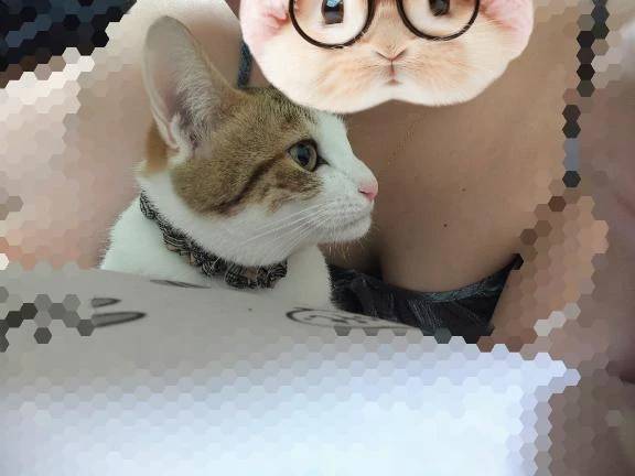 暑すぎて