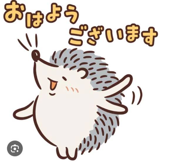 おはよ☀️