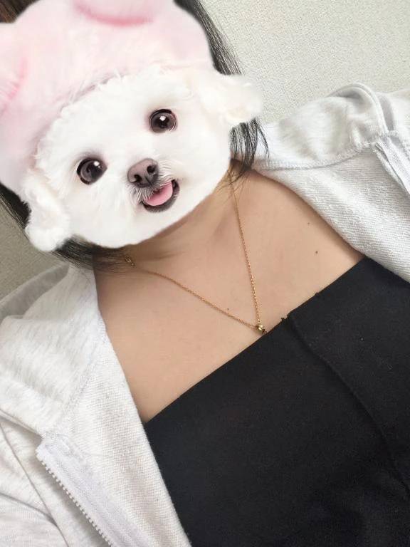 日差しがヤバすぎる