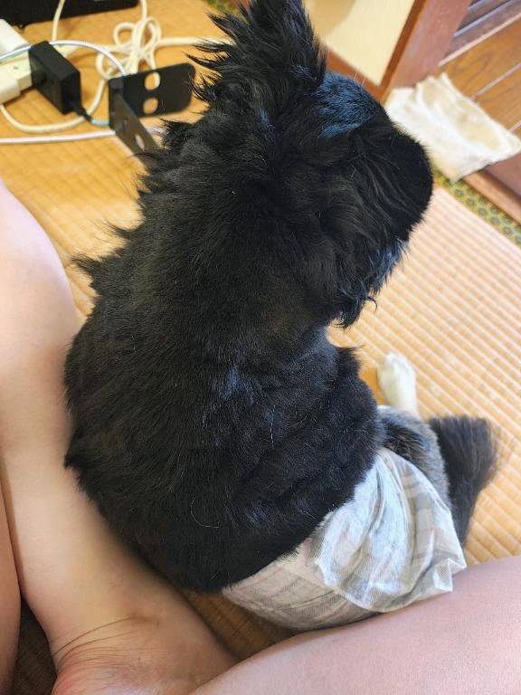 お礼