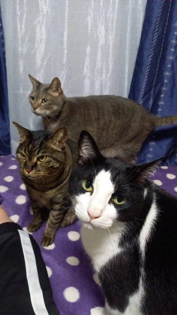 お礼