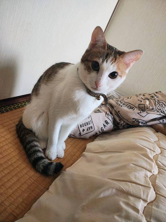お礼