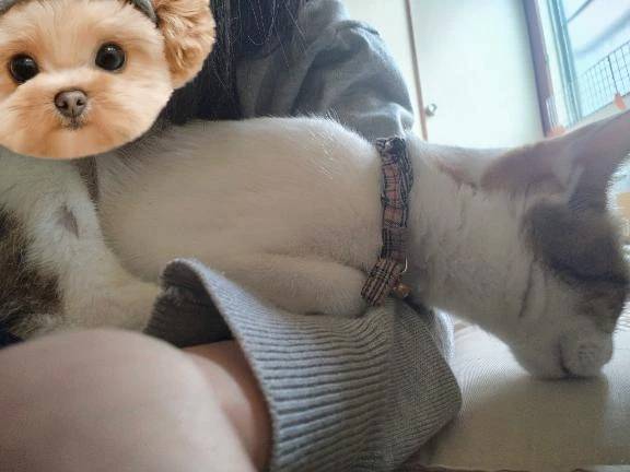 鬼ごろし👹