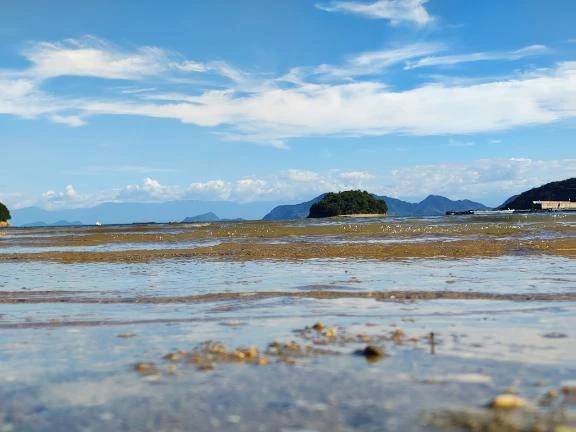 やっと釣りに行ける