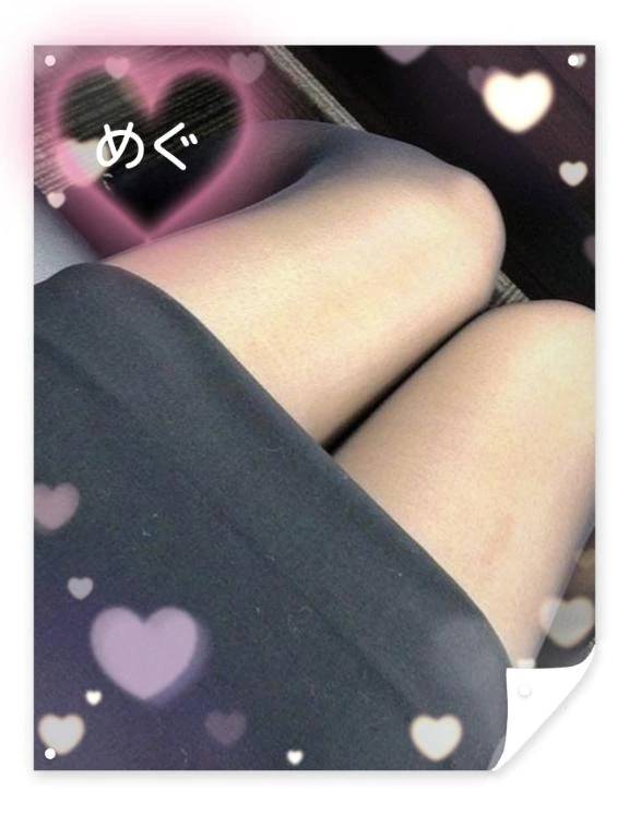 ご予約お待ちしています🐱