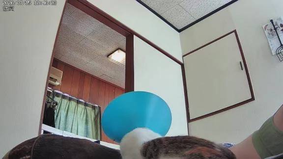 監視カメラ最高
