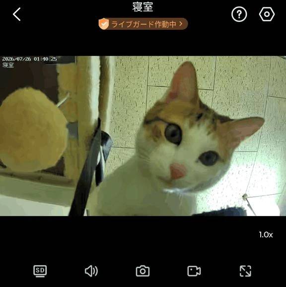 お知らせ⋆͛📢⋆