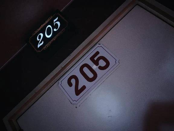 セーヌ205本指名