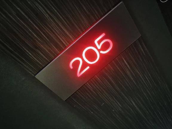 アゲハ205