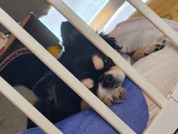 お知らせと昼⋆͛📢⋆