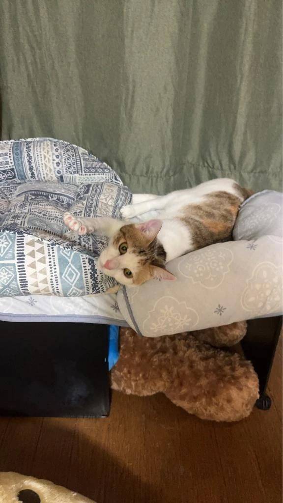 お礼💌