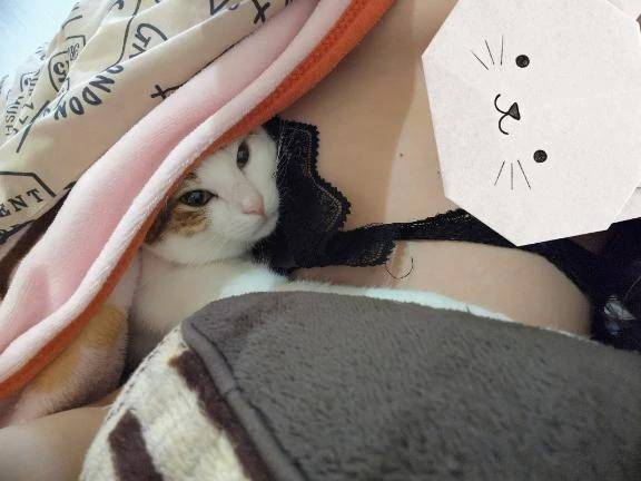ルンルンですな