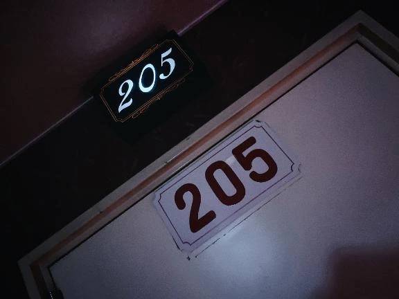 セーヌ205本指名