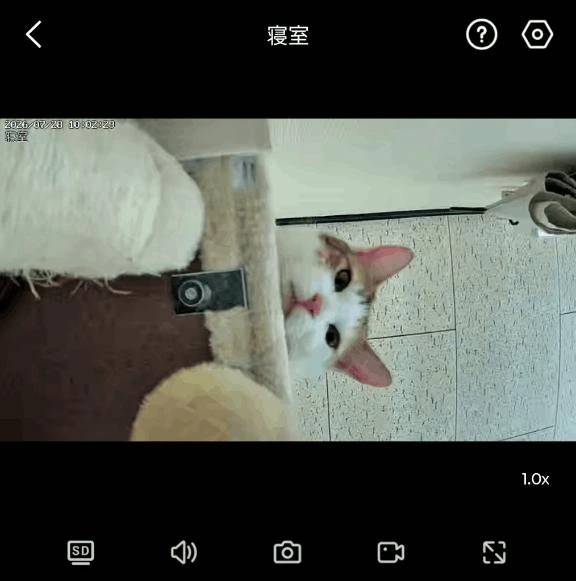 お礼💌