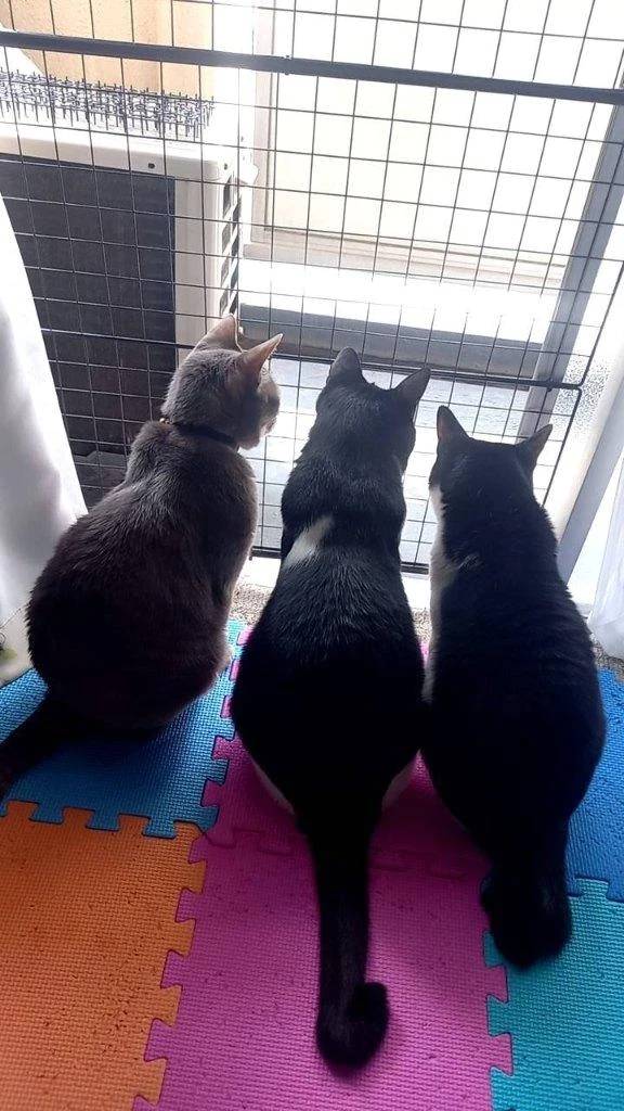 お礼💌