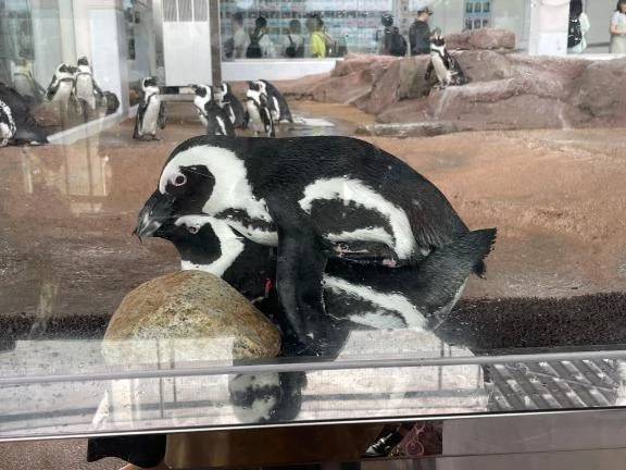 待ってるよぉ💞