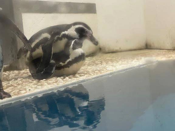 ムラムラ( ˘ω˘ ) ﾑﾗﾑﾗ…