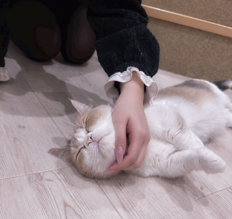 まほ☆完全業界未経験♪(【優良店】いちご倶楽部(周南店)~One Night Group~)