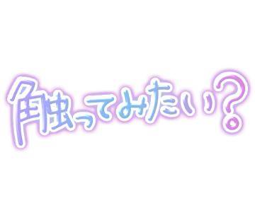 15時からです！