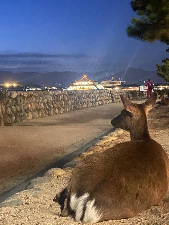 10月24日　18時のあなた様